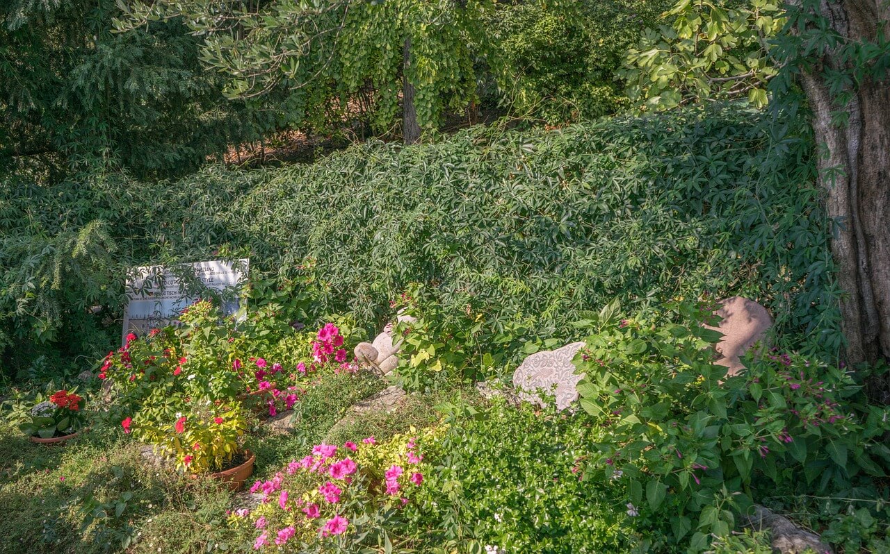 Isola del Garda Blumen pxb